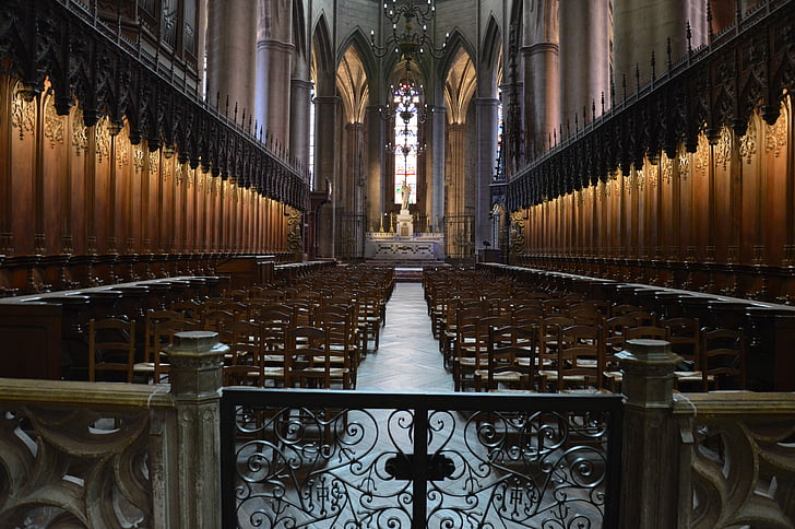 Catedral, l'església, nau