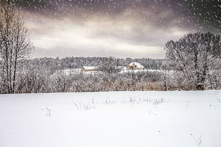 mansión, invierno, nieve, paisaje, cuento de hadas, naturaleza, árbol