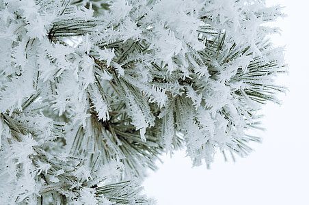 sneeuw, Kerst, vakantie, Frost, kerstboom, achtergrond, glanzend