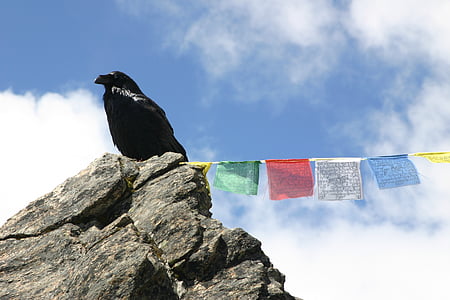 Kruk, Nepal, góry, flagi modlitewne