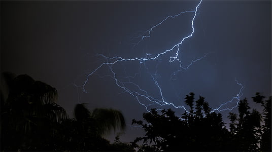 lightning, silhouette, trees, night, sky, dark, power in nature