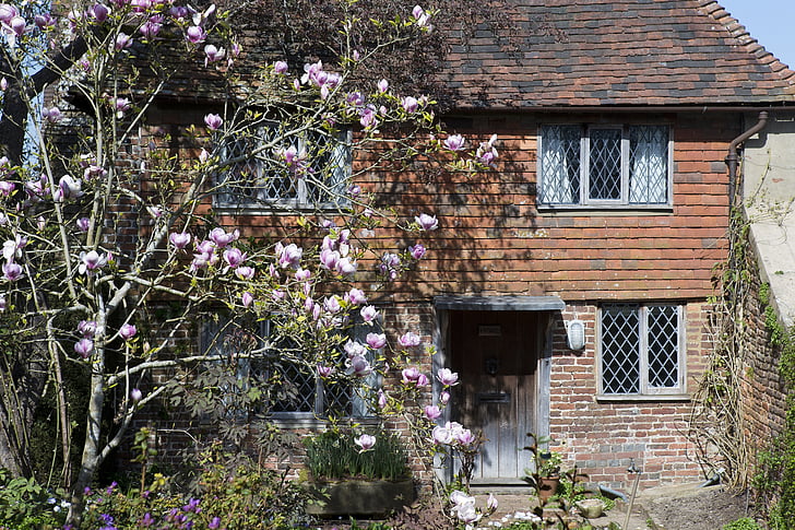 Vikendica, stare opeke, crijep visi, hrastova vrata, olovni svjetlo windows, drvo magnolije, ruralni