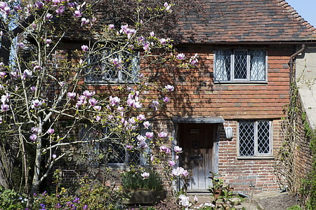 koča, stare opeke, ploščice, ki visi, hrastova vrata, osvinčeni svetlobe windows, magnolija drevo, podeželja