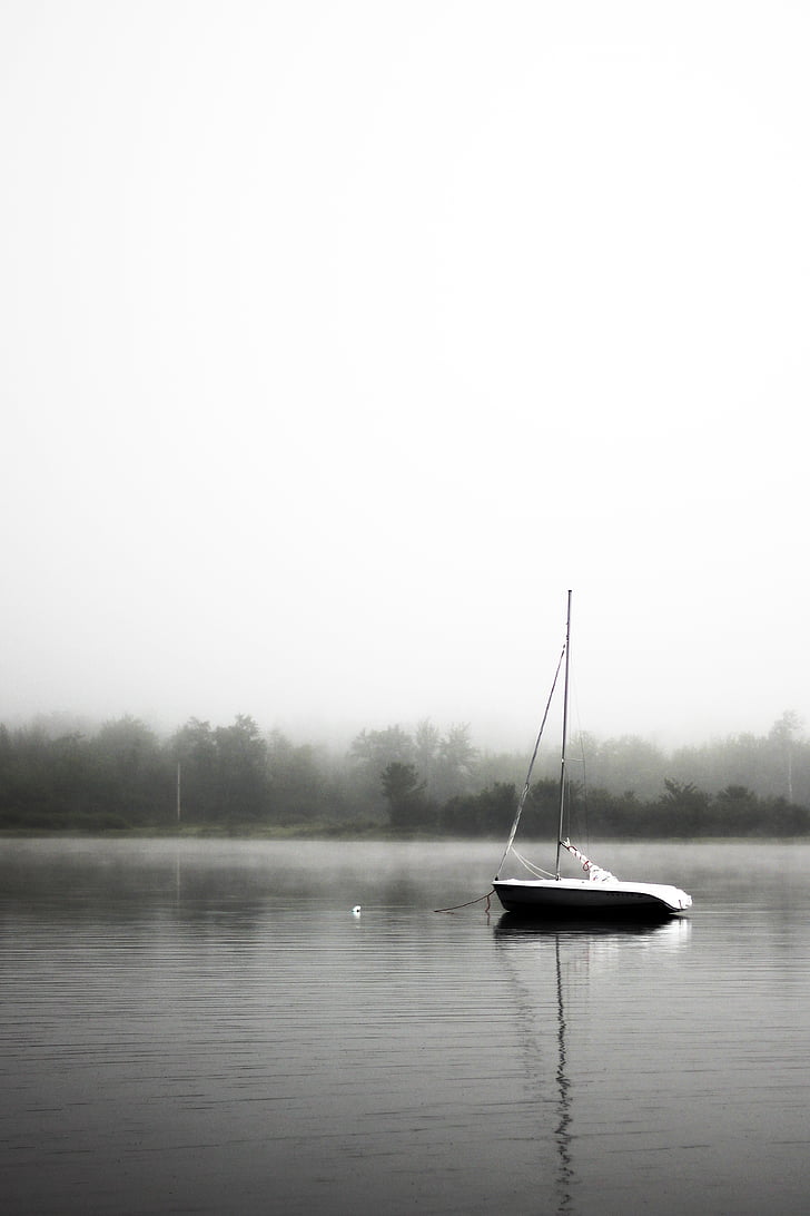 езеро, вода, лодка, ветроходство, мъгла, Черно и бяло, дървета