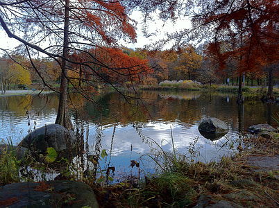 munich, westpark, park, water, waters, mirroring, autumn mood