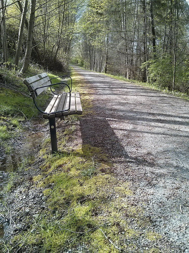 park bench, trail, spring, nature, perspective, deer lake park, forest