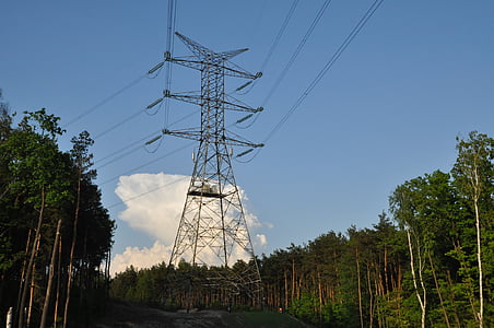 bilan énergétique, cours, Forest, Nuage, Sky, Pologne, Mazowsze