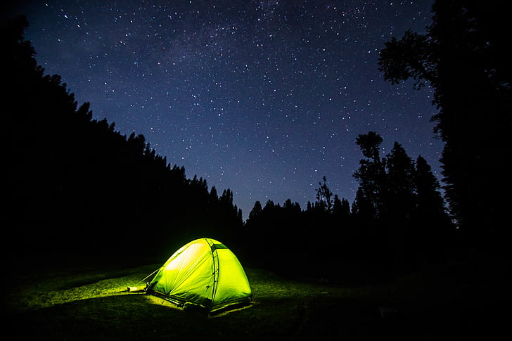 grön, Camping, tält, mitten, natt, stjärnigt, träd