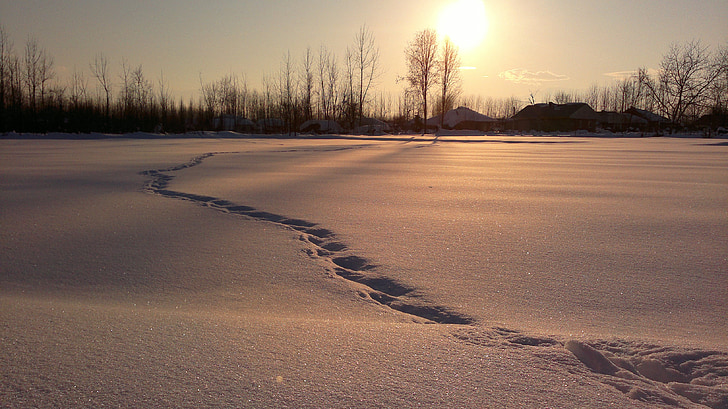 neu, l'hivern, pistes, natura, fred, nevades, desembre