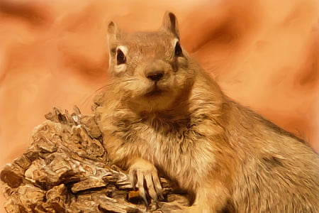 painting, oil painting, photo painting, ground squirrel, golden mantled ground squirrel, art, artwork