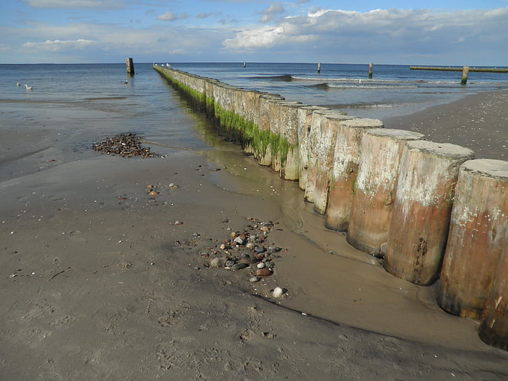 pantalles de palplanxes, Mar Bàltic, aigües someres, algues cobert, platja, estructures de l'aigua, mesures de protecció