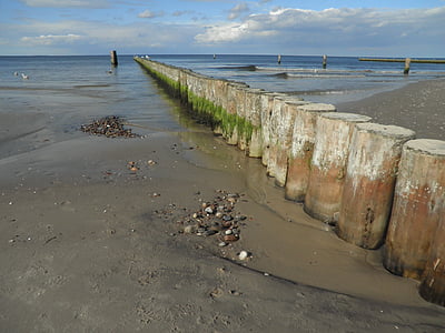 groynes, baltic sea, shallow water, overgrown algae, beach, water structures, protection measures