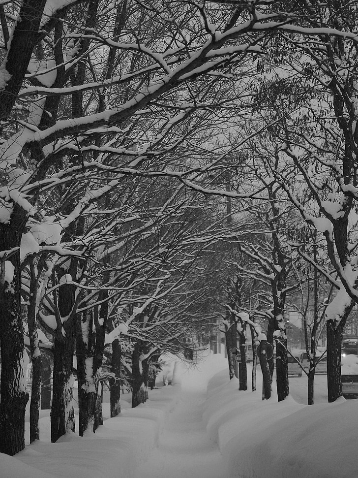 Schnee-Szene, Winter, Straße, Winter-Straße, Kälte