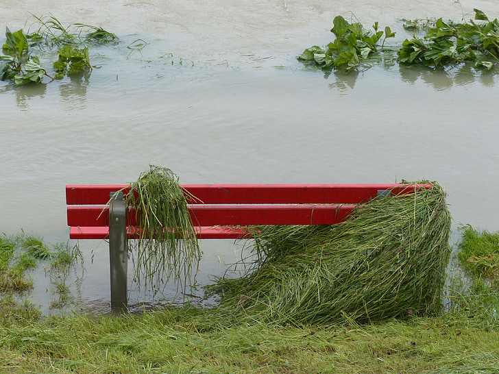 високо ниво на водата, пейка в парка, наводнени, трева, спад в, червен, мокър