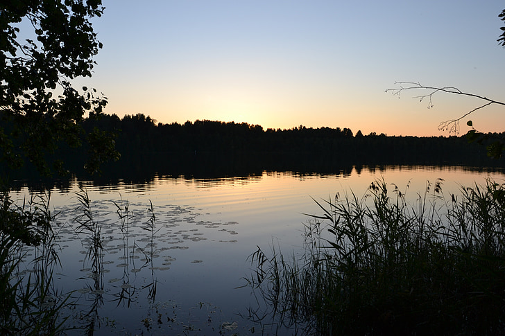 natureza, Lago, floresta, Rússia, paisagem, superfície lisa, tranquilidade
