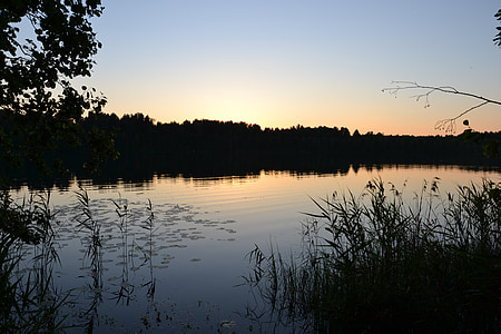 doğa, Göl, Orman, Rusya, manzara, pürüzsüz bir yüzey, huzur