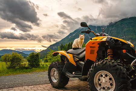 kucing, Quad, Austria, Hermagor, Carinthia, matahari terbenam, pegunungan