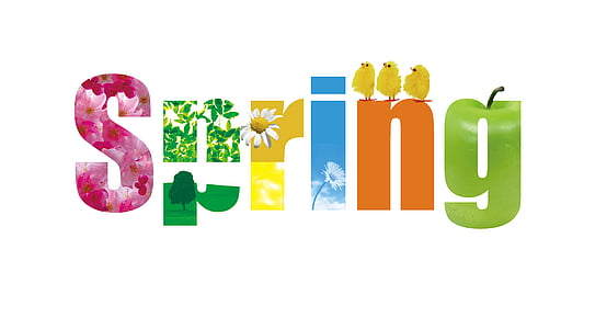 primavera, fiore, felice, gioia, pulcino, Apple, paesaggio