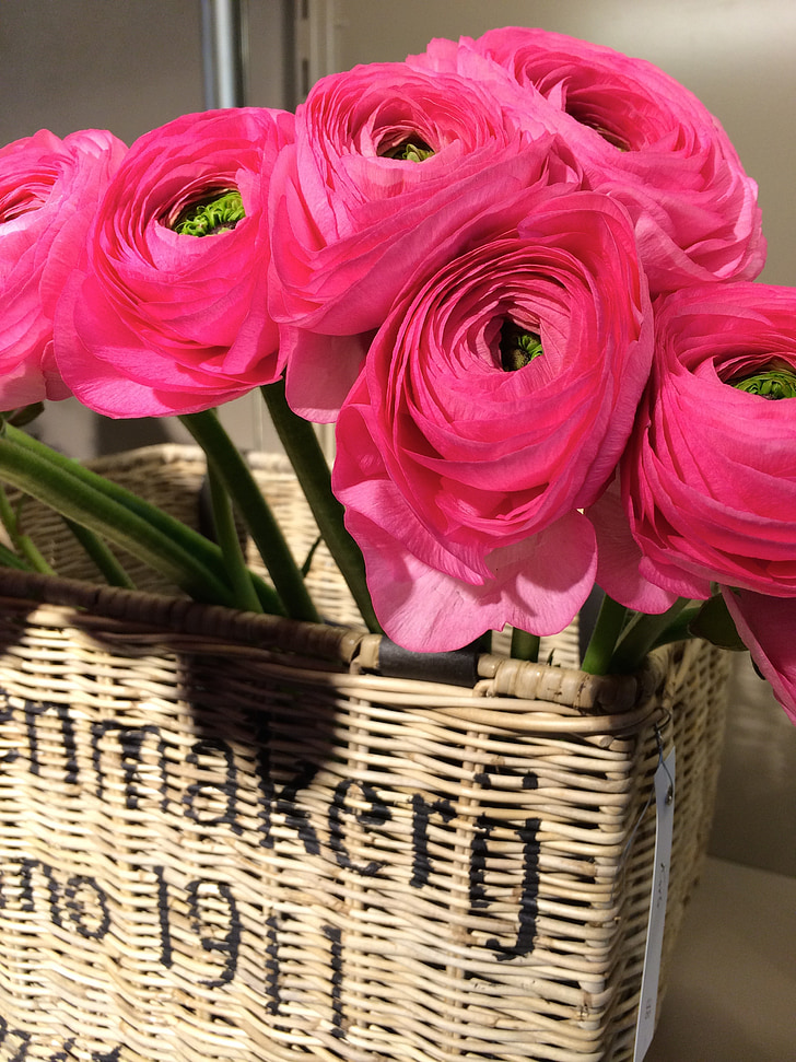 basket, pink, flowers, spring, decoration, bouquet, nature
