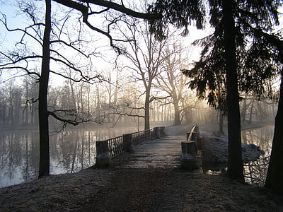 Park, ribnik, pomlad, zjutraj, most, Megla