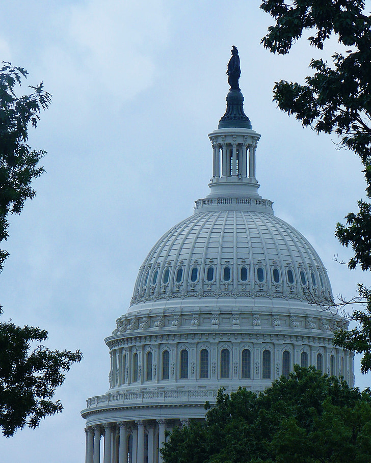 Nous Capitole, Washington dc, gouvernement, démocratie, point de repère, Capitol hill, bâtiment