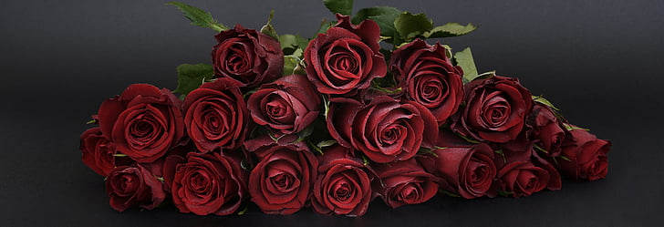 roosid, kimp Amarylistega, kimp, Strauss, lilled, Romantika, punane
