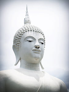 Buddha, India, mente, preghiera, concetto, buddista, Buddismo