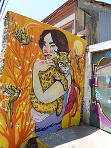 Chile, Jižní Amerika, Valparaiso, zeď, obrázek, grafitti, umění