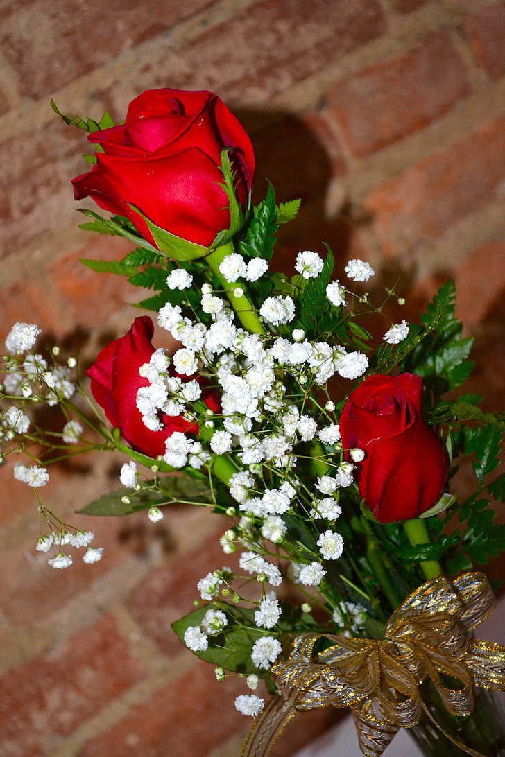 roser, blomst, steg, rød, bryllup, romantikk, kjærlighet