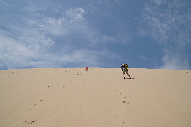 Grande, Dune, du, Pilat, sanddyn, Frankrike, Ocean