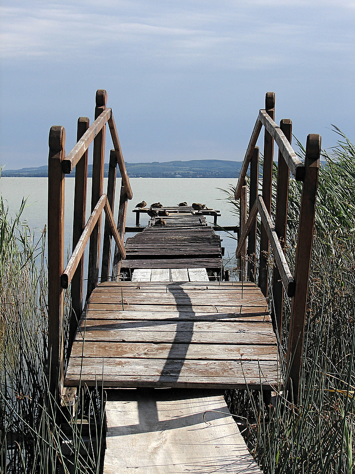 Web, Danau balaton, Balaton, Hongaria, kayu - bahan, alam, di luar rumah