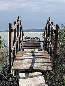 уеб, езерото Балатон, Балатон, Унгария, дърво - материал, природата, на открито