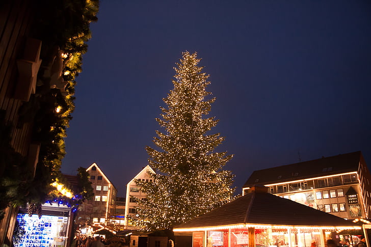 mercado de Natal, abeto, árvore de Natal, luz, iluminação, Natal, decorações de Natal