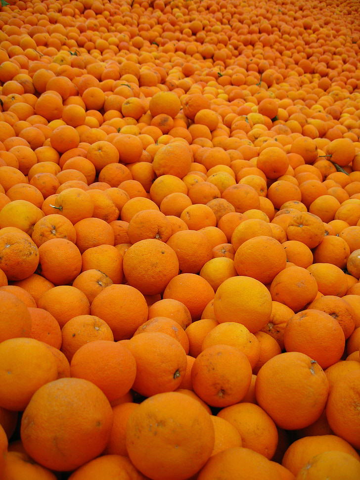 Orange, Spanien, soligt, apelsiner, Citrus, vitaminer, fruktmarknad