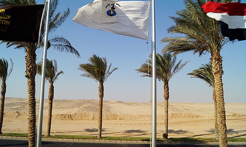 Egypt, sand, ørkenen, flagg, trær