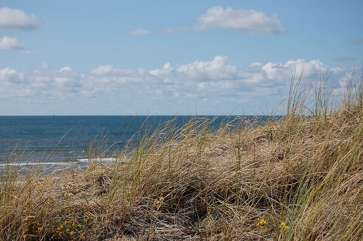 dune, beach, sea, shore, coastline, seaside, sandy