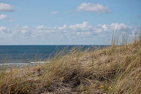 dune, plage, mer, rive, littoral, bord de mer, sable fin