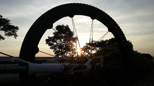 sunset, wheel, bike, mountain biking
