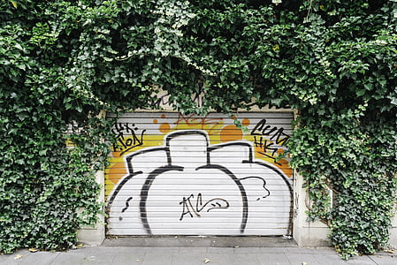 gate, graffiti, plant, vines, wall, art and craft, no people