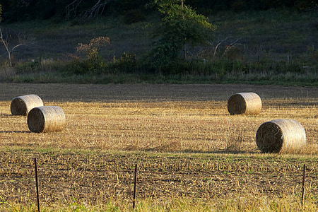 hø, Farm, Iowa, landdistrikter, Bale