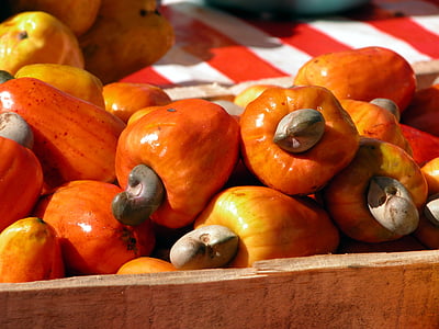fruit, cashew nuts, brazil, autumn, food, vegetable, pumpkin