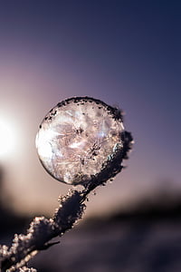 Мильна бульбашка, заморожені, заморожені міхур, взимку, eiskristalle, зимового, холодної