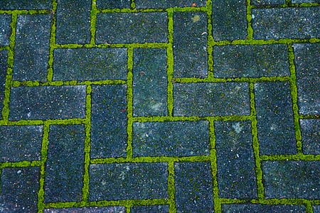 patch, paving stones, moss, road, away, pavement, structures