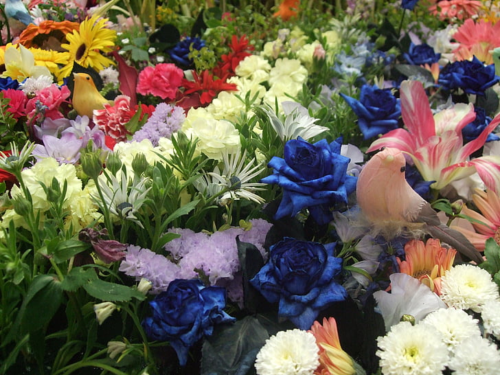 fleurs, jardin fleuri, arrangements floraux, coloré, petit oiseau