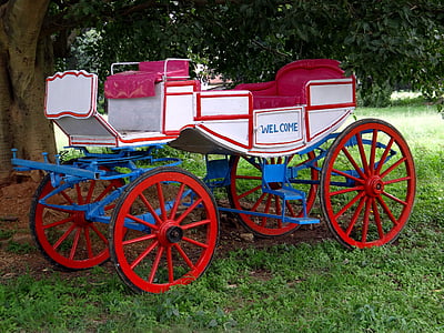 carriage, horse, horse drawn carriage, coach, wagon, bangalore, india