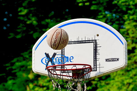 baloncesto, deporte, bola, cesta, camada, Hits, aro de baloncesto