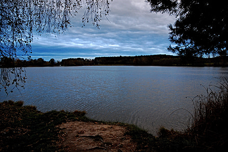 サンセット, 池, 表面, 雲, 南ボヘミア州, 木の枝, 今晩