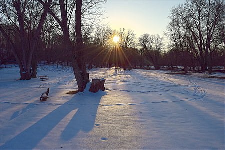 śnieg, Park, zachód słońca, światło, cienie, zimowe, zimno