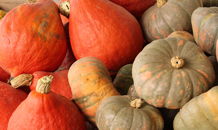 pumpkins, fall, harvest