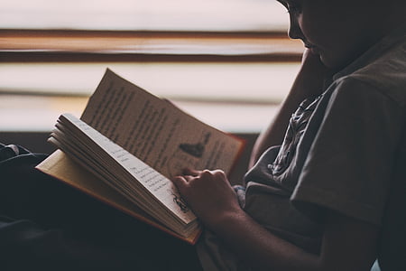 chico, gris, equipo, cuello, camiseta, de la lectura, libro
